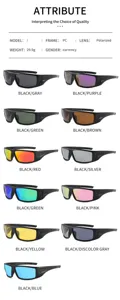 Lunettes de soleil polarisées de sport PC cadre léger 29.9g, verres multicolores.