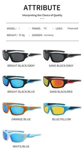 Gafas de sol deportivas polarizadas para hombre con montura de PC y lentes de colores.