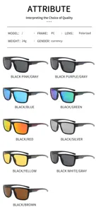 Detailed view of polarized sunglasses with various color options and PC frames.