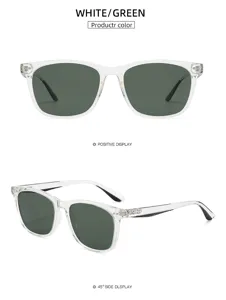 Vue détaillée des lunettes de soleil à monture TR90 transparente et verres polarisés.