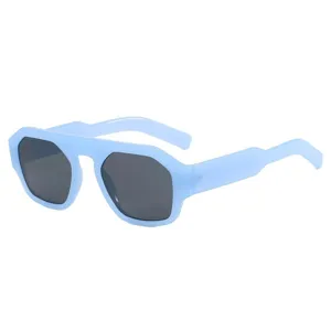 Oversized chunky frame sunglasses for men and women, retro fashion polygon sun glasses.