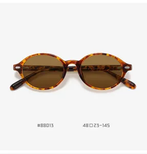 Vintage oval tortoise shell polarized sunglasses detailed view showing classic frame