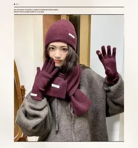 Winter Strickmütze Schal Handschuhe Set weinrot dick warm Wollmütze weich gemütlich Damen Set