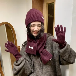 Winter Strick Dreiteiler Set dick warm Mütze Schal Handschuhe rotwein Damen Mode kaltes