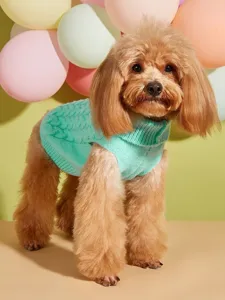 Λεπτομερής κοντινή λήψη πλεγμένου πουλόβερ κατοικιδίων σε μέντα, πολύ άνετη εφαρμογή.