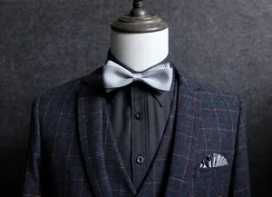Classico papillon a doppio strato a righe argentate da uomo, elegante accessorio da abito.