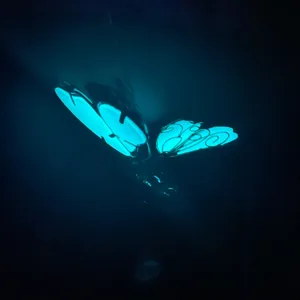 Glow in the dark butterfly hanging ornament detail showing luminous acrylic craft effect.