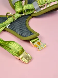 Detailed view of the summer pet chest harness featuring breathable mesh and gold buckles.