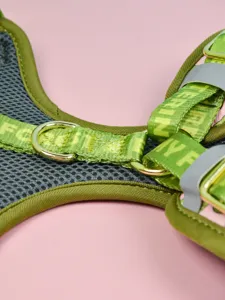 Detailed close-up of green mesh pet dog harness with metal D-rings and reflective safety straps.