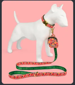 Detailopname van schattige chili-huisdierenlijstenset met halsband en tasje voor zakjes.