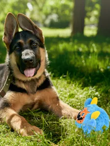 Cute interactive plush dog toy with funny blue monster design for pet daily entertainment.