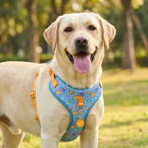 Cute summer dog harness with colorful popsicle print, adjustable straps for medium large dogs.