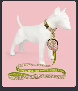 Leuke zomer huisdier riem en halsband set met avocado print en groene band voor honden en katten.