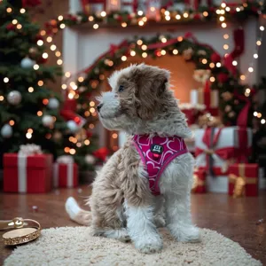 Charming pink heart print dog harness with reflective strips, cozy pet chest strap detail shot.