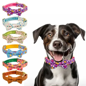 Detailansicht süßes Haustier Halsband mit Schleife, bunte Hunde und Katzen Halsband Set.