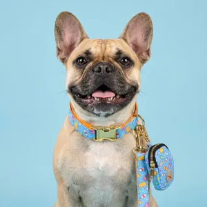 Schattige zomer dubbel bedrukte huisdier hond kat halsband en riem set hoofdaanzicht