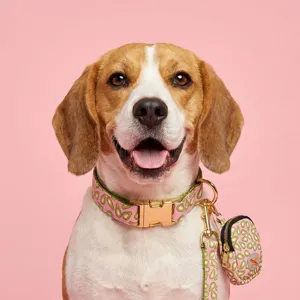 Schattige hondenhalsband en riem set met avocadoprint en bijpassend tasje, hoofdafbeelding.