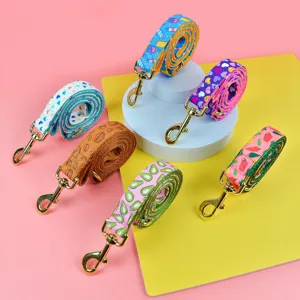 Buntes gemustertes Haustier Leinen Set mit langlebigen Metallkarabinerhaken fuer Hunde.