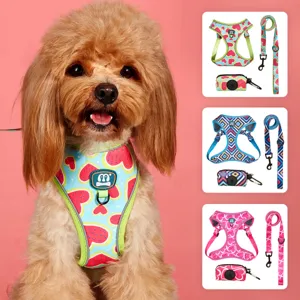 Pet Dog Cat Harness And Leash Set Adjustable Reflective Breathable Mesh Vest With Waste Bag Dispenser Cute Print Pet Supplies