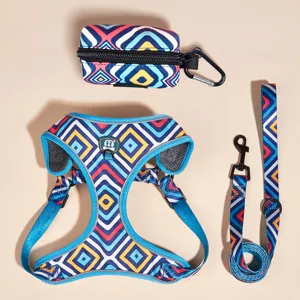 Colorful geometric print pet dog cat harness and leash set with reflective strip and poop bag.