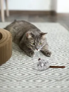Grey plush mouse cat toy for interactive play and fun pet entertainment in daily life.