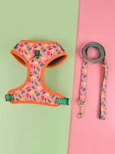 Cute summer pet dog harness and leash set with colorful pepper print breathable design for dogs.