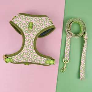 Cute Fruit Print Pet Chest Strap And Traction Rope Set Breathable Mesh Dog Harness Leash For Medium And Large Dogs