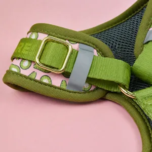 Nuovo Primavera Estate Moda Carino Traspirante Regolabile Pettorina per Cani Guinzaglio Collare Etichetta ID Set Poliestere Pettorina Cane