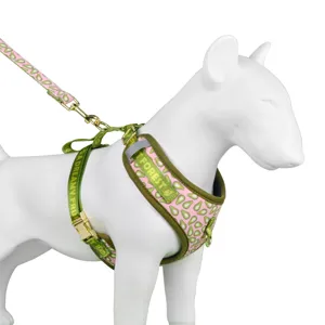 Cute summer dog harness and leash set with pink green avocado pattern and gold hardware.