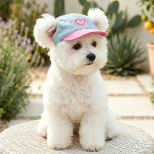 Cute Pet Dog Denim Dress And Hat Set Sweet Heart Embroidery Small Puppy Princess Skirt Casual Pet Apparel Clothing