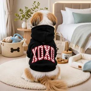 Detailed shot of a cute small dog wearing a black hooded pet sweatshirt with XOXO print.