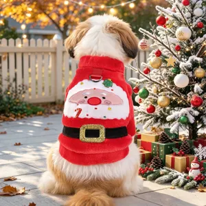 Cute Christmas dog costume detail showing fluffy red Santa outfit with cute face embroidery.