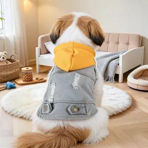 Stylish pet denim hoodie jacket for small dogs and puppies, retro fashion pet clothing.