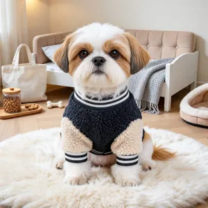 Cute dog wearing warm winter fleece baseball jacket, stylish color block pet apparel detail view.