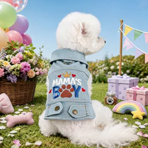 Detailed view of PETCIRCLE cute small dog denim jacket with lapel design and embroidery.