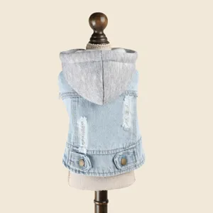 Close-up detail of dog denim hoodie with grey hood, distressed rips, and cute back buttons.