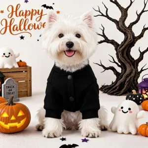 Cute black dog hoodie pet clothes autumn small dog halloween costume apparel!
