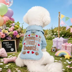 Cute puppy denim jacket with lapel design and embroidered back text for small dogs spring autumn