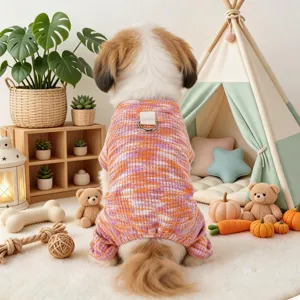 Small dog colorful knit onesie with leash ring, cozy pet homewear detail for spring and autumn.
