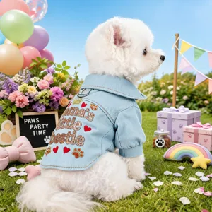 Cute dog denim jacket with lapel and cute sequin embroidery letters for small dogs and puppies.