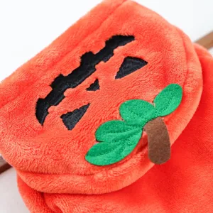 Pet costume detail plush orange pumpkin design for small dogs Halloween apparel close up
