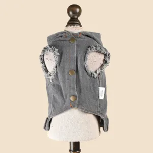 Grey denim dog jacket with hood and distressed holes, cool pet vest for spring and summer.