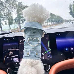 Pearl heart denim dog jacket back detail view, cute pet apparel in stylish casual setting.