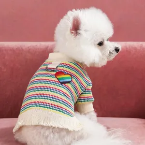 Gedetailleerd overzicht van een kleine hond in gekleurd gestreept huisdier vest.