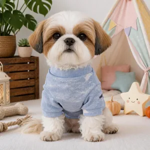 Cute puppy wearing a soft blue pet sweater in a cozy indoor room setting detail view.