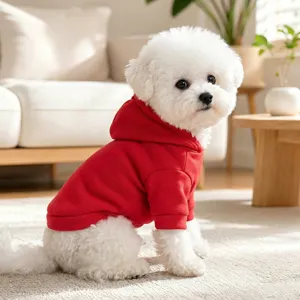 Close-up detail of a cute pet dog wearing a cozy red hooded sweatshirt in a warm room setting.