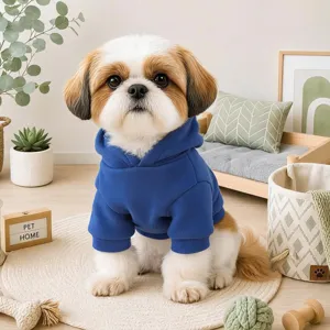 Detail shot of a cute small dog wearing a solid blue hooded pet sweatshirt, indoor cozy scene.
