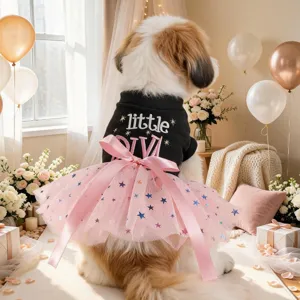 Detailaufnahme eines schwarzen Hundepullovers mit rosa Tüllrock, Sternenmuster und Schleife.