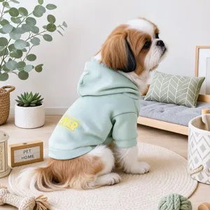 Detailed view of the cute small dog hooded sweatshirt in light green with stylish yellow letter print.