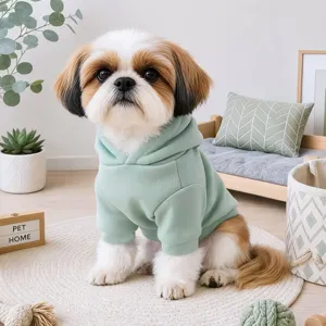 Cute small dog wearing a light green pet hoodie, soft fabric and comfortable fit for autumn.
